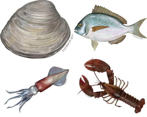 Local Fish