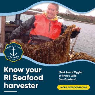 Kelp Harvester Azure Cygler