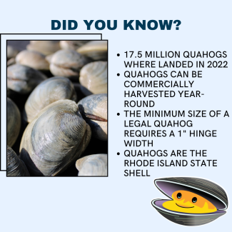 Quahog Week Promo listing out facts about RI clams