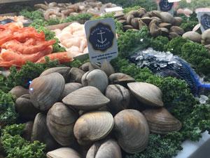 Clams in supermarket case