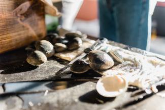 Clams cooking