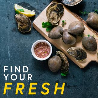 Find your Fresh banner