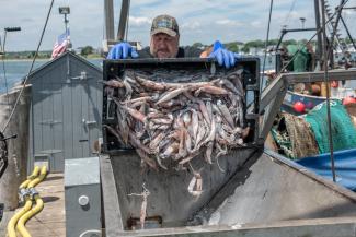 Squid Conveyor